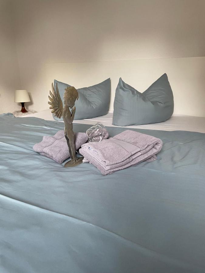 Apartmenthaus Elbblick باد سشاندو المظهر الخارجي الصورة